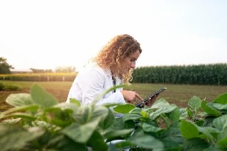 imagem Básico em Assistência Técnica e Extensão Rural